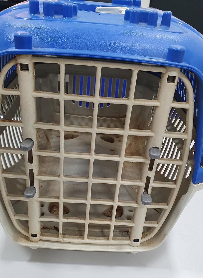 Caixa De Transporte Gatos Gaiola Carregar Coelhos