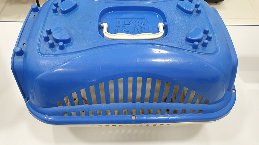 Caixa De Transporte Gatos Gaiola Carregar Coelhos